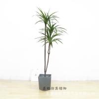 uploads/erp/collection/images/Home Garden/dgjiawang/XU0612861/img_b/XU0612861_img_b_4